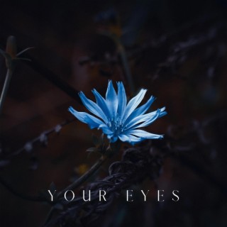 Your Eyes lyrics | Boomplay Music