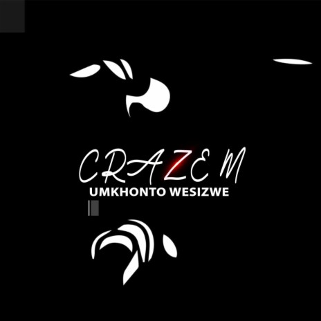 Umkhonto Wesizwe | Boomplay Music