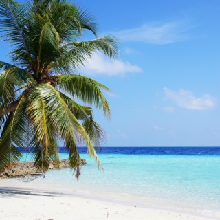 白噪音 马尔代夫海浪声 助眠减压 学习放松 冥想