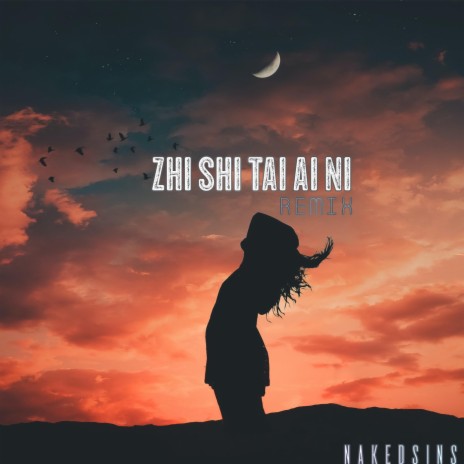 Zhi Shi Tai Ai Ni (Remix) | Boomplay Music