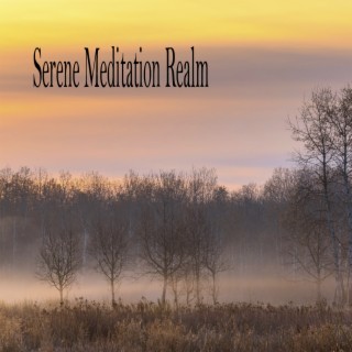Serene Meditation Realm