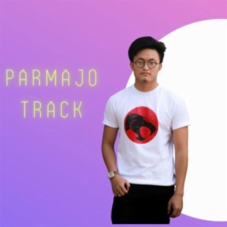 parmajo track offcial