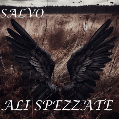 Ali Spezzate | Boomplay Music