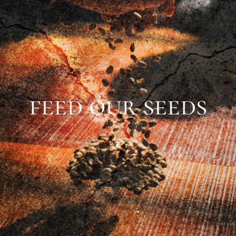 Feed our seeds | Boomplay Music