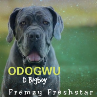 Odogwu D Bigboy lyrics | Boomplay Music