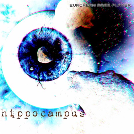 Hippocampus