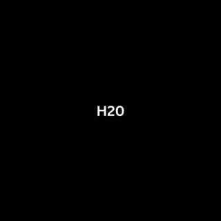 H20