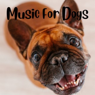 Music For Dogs