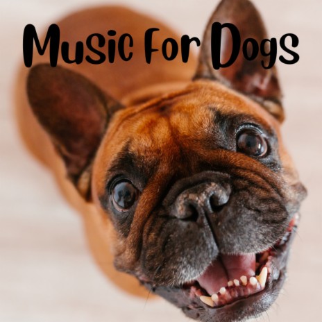 Echoes of Peace ft. Music For Dogs, Relaxing Puppy Music & Calm Pets Music Academy