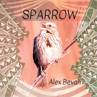 Sparrow