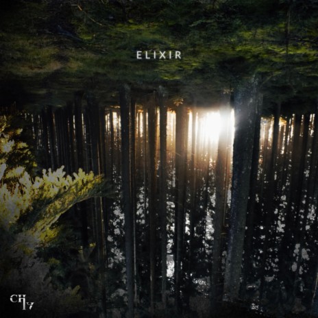 ELIXIR | Boomplay Music