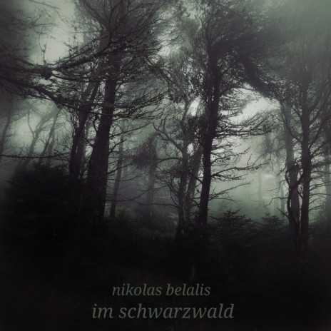 Im Schwarzwald | Boomplay Music