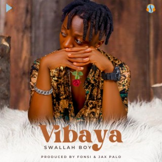 Vibaya lyrics | Boomplay Music