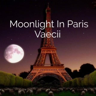 Moonlight In Paris