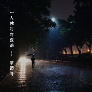 一人独对冷夜雨