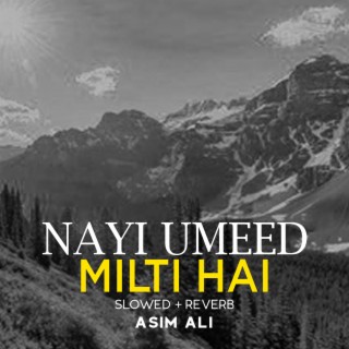 Nayi Umeed Milti Hai Lofi