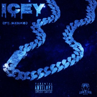 Icey ft. Bxnks lyrics | Boomplay Music