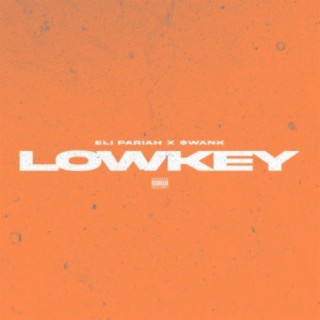 Lowkey lyrics | Boomplay Music