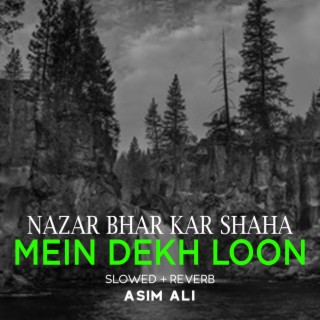 Nazar Bhar Kar Shaha Mein Dekh Loon Lofi