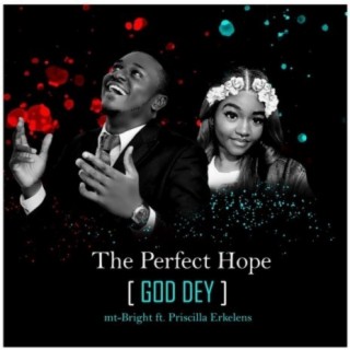 The Perfect Hope (God Dey) ft. Priscilla Erkelens