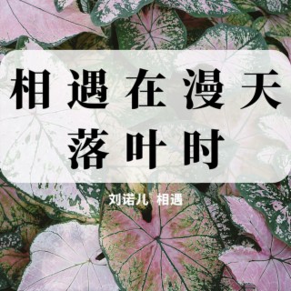 相遇在漫天落叶时 lyrics | Boomplay Music