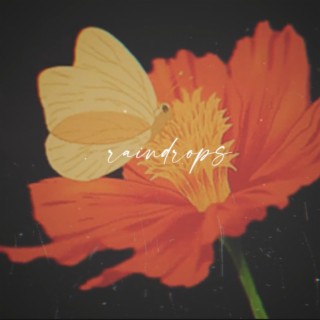 Raindrops lyrics | Boomplay Music