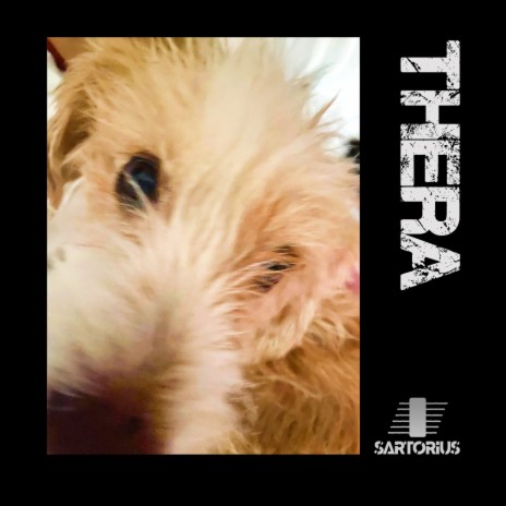 Thera | Boomplay Music