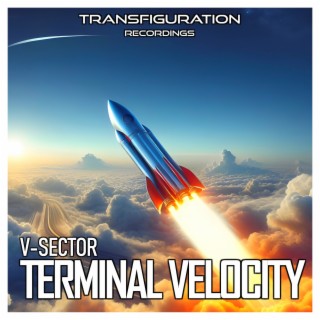 Terminal Velocity