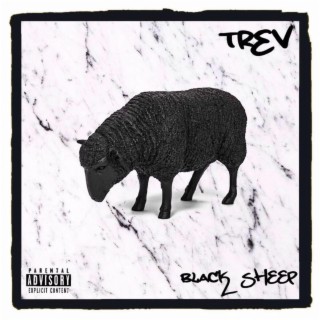 Black Sheep