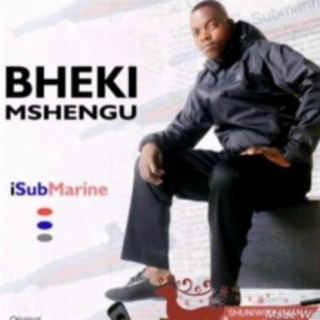 Bheki Mshengu