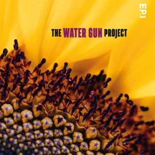 The WATER GUN Project