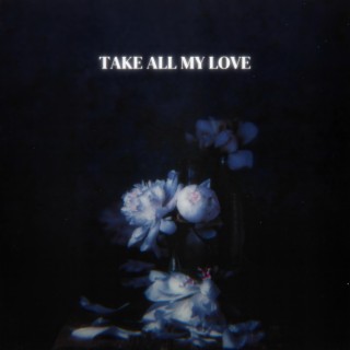 Take All My Love