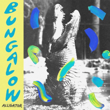 Alligator | Boomplay Music