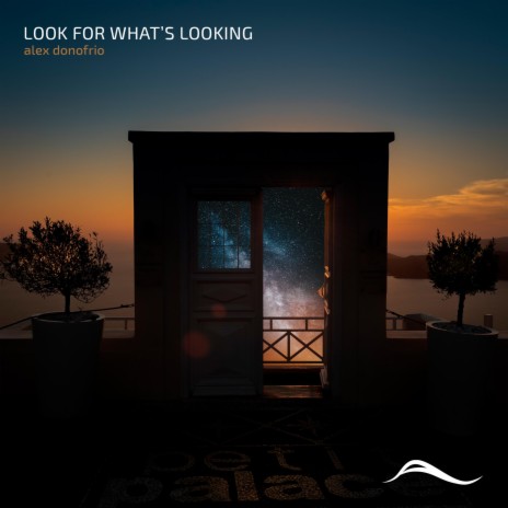 Look For What's Looking | Boomplay Music