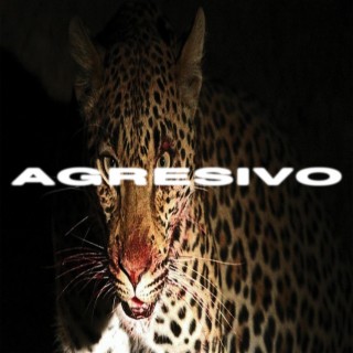 AGRESIVO