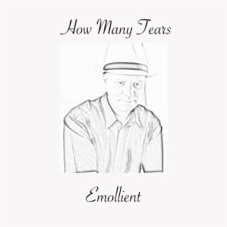 How Many Tears lyrics | Boomplay Music