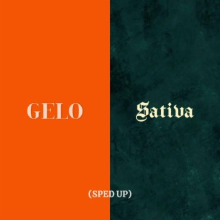 GELO/SATIVA