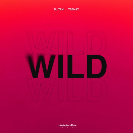 Wild ft. Tsenay | Boomplay Music