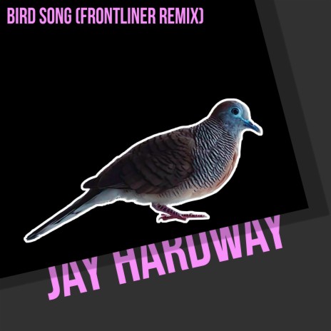 Bird Song (Frontliner Remix) | Boomplay Music