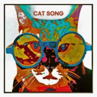 Cat Song