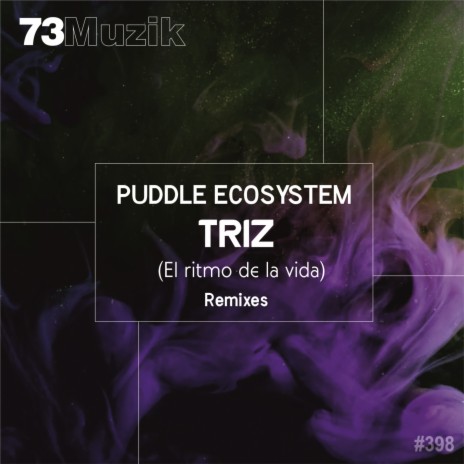 Triz (El Ritmo De La Vida) (Goontha Remix) | Boomplay Music