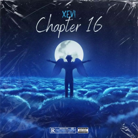 CHAPTER 16