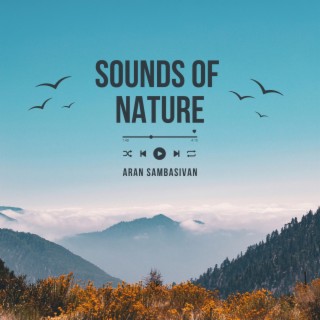 Sounds of Nature