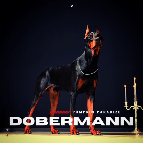 Dobermann