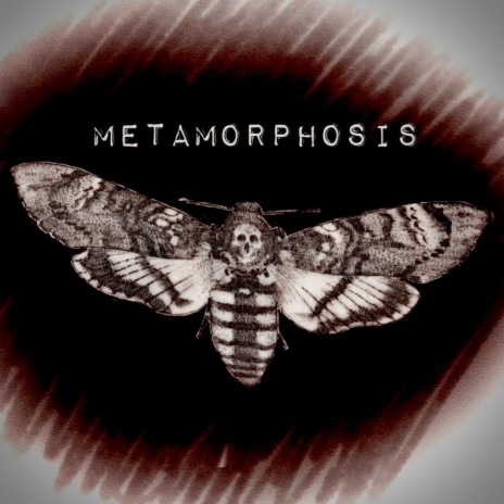 Metamorphosis | Boomplay Music