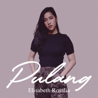 (Cepat) Pulang