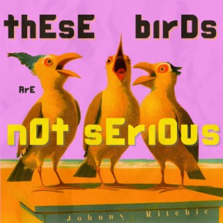 thEsE birDs ArE n0t sEriOus lyrics | Boomplay Music