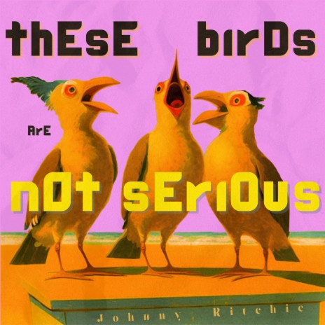 thEsE birDs ArE n0t sEriOus | Boomplay Music