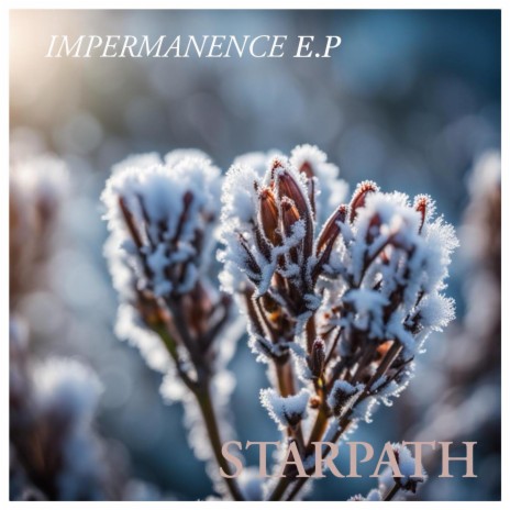 Impermanence EP ((electronic version)) | Boomplay Music