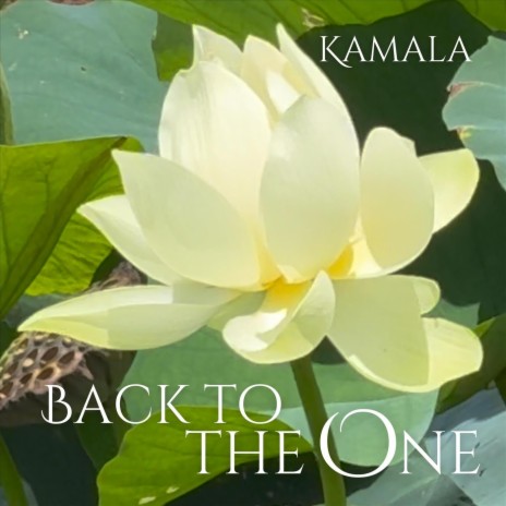 Back to the One | Boomplay Music